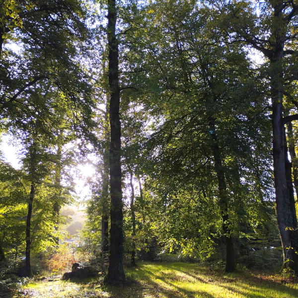 Camping 3 étoiles Finistère au coeur de la Nature